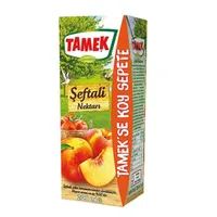 Meyve Suyu Karton Kutu - Tad-al pastane & Cafe