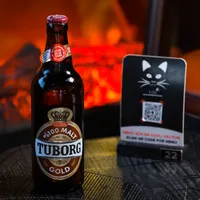 Tuborg Gold 50 cl - Kedi