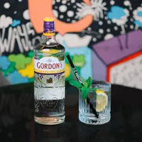 Gordon's Gin - Kedi
