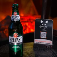 Belfast - Kedi