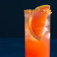 Paloma - Kedi