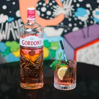Gordon's Pink Gin - Kedi