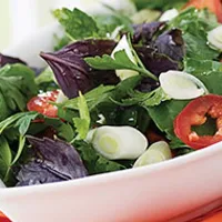 12. Roka Salatası - Müzeyyen