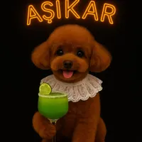 Rosie - Aşikar