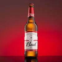 Bud - Aşikar