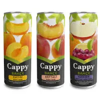 CAPPY MEYVE SULARI (330ML) - Kumrucu Miço Lezzet Hattı