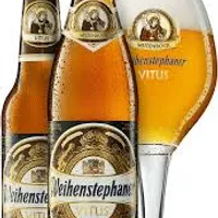 WEIHENSTEPHANER VITUS - PUBUC AVLU RESTAURANT