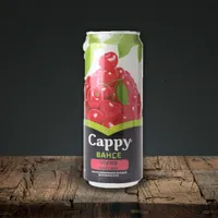 CAPPY VİŞNE - PUBUC AVLU RESTAURANT