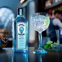 BOMBAY GIN - PUBUC AVLU RESTAURANT
