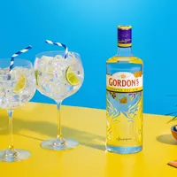 GORDONS GIN - PUBUC AVLU RESTAURANT
