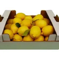 Limon 1 kg - CADDE MARKET TIKLA GELSİN7/24 SAAT