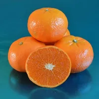 Mandalina 1 kg - CADDE MARKET TIKLA GELSİN7/24 SAAT
