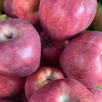 Kırmızı elma lüx 1 kg - CADDE MARKET TIKLA GELSİN7/24 SAAT