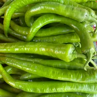Sivri biber 1 kg tatlı - CADDE MARKET TIKLA GELSİN7/24 SAAT
