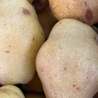 Armut deveci 1 kg - CADDE MARKET TIKLA GELSİN7/24 SAAT