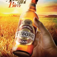 Tuborg Gold 50 CL - Milano