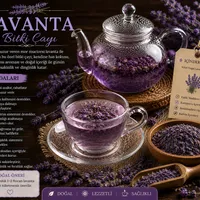 Lavanta - Sakız Hanım