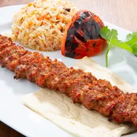 ADANA - Seçkin USTA