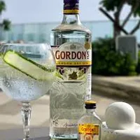 GORDONS 1L - MARINA MARKET